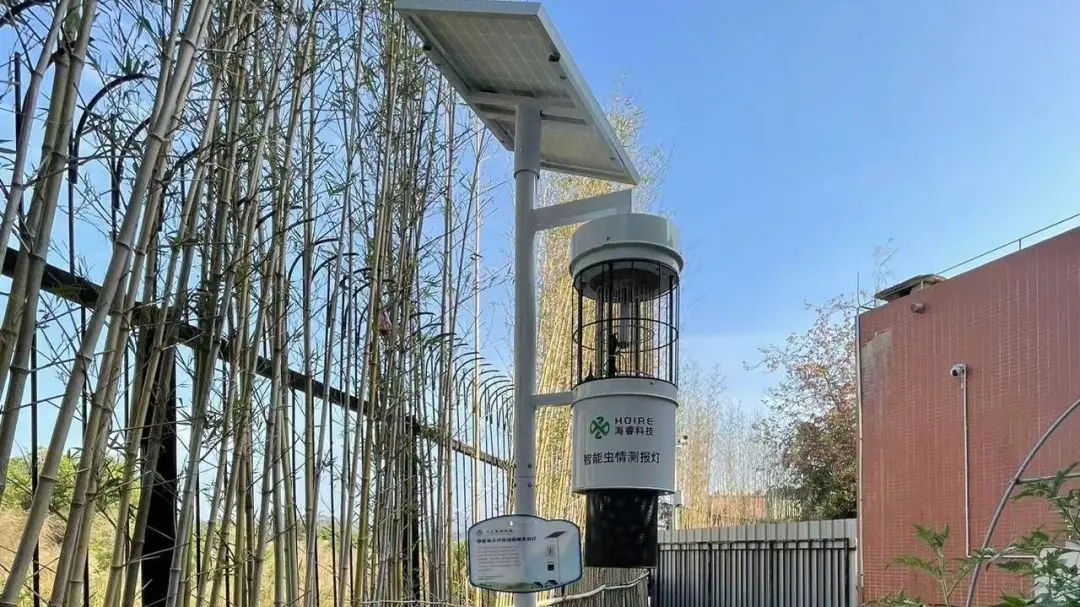 華珠舉行人工智能學院科技小院揭牌儀式17.jpg