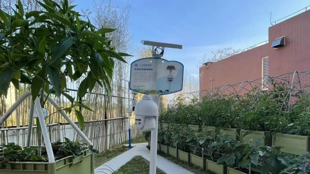 華珠舉行人工智能學院科技小院揭牌儀式16.jpg