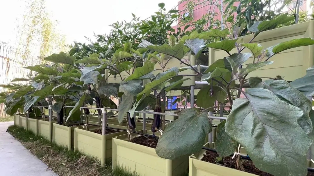 華珠舉行人工智能學院科技小院揭牌儀式18.jpg